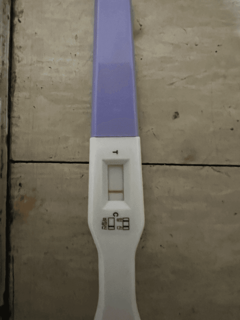 2번 째 사진