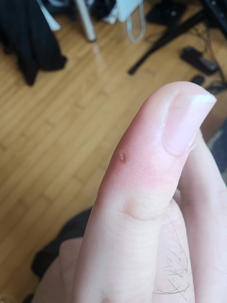 1번 째 사진
