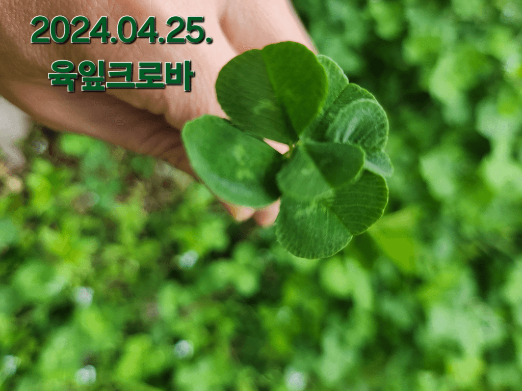 1번 째 사진