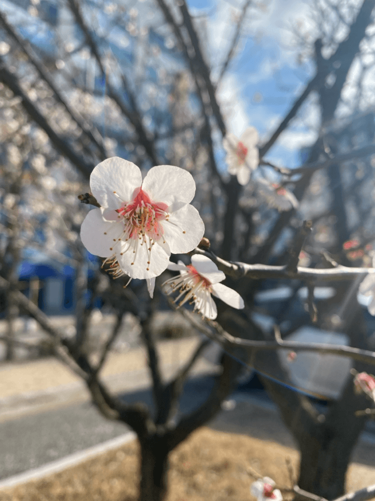 1번 째 사진