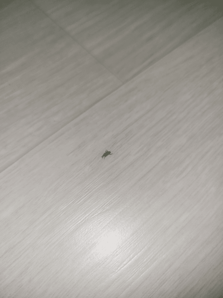 2번 째 사진