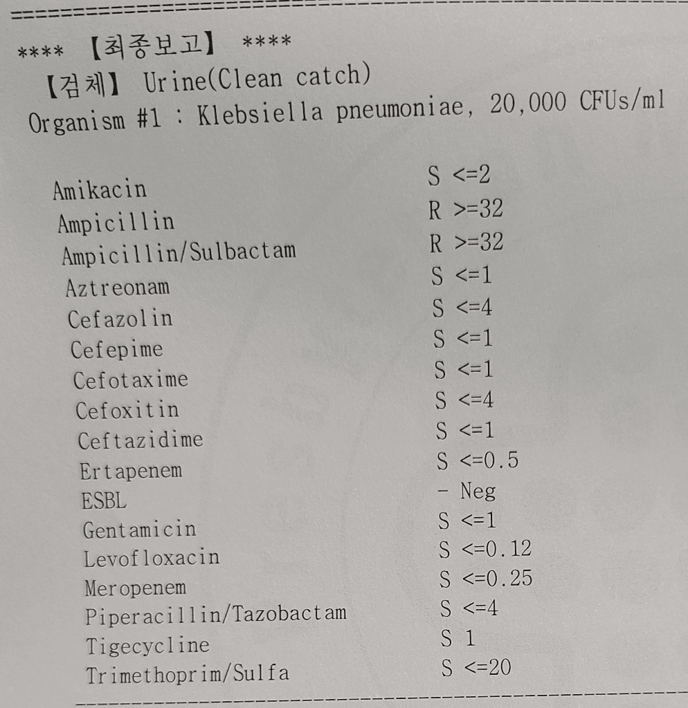 2번 째 사진