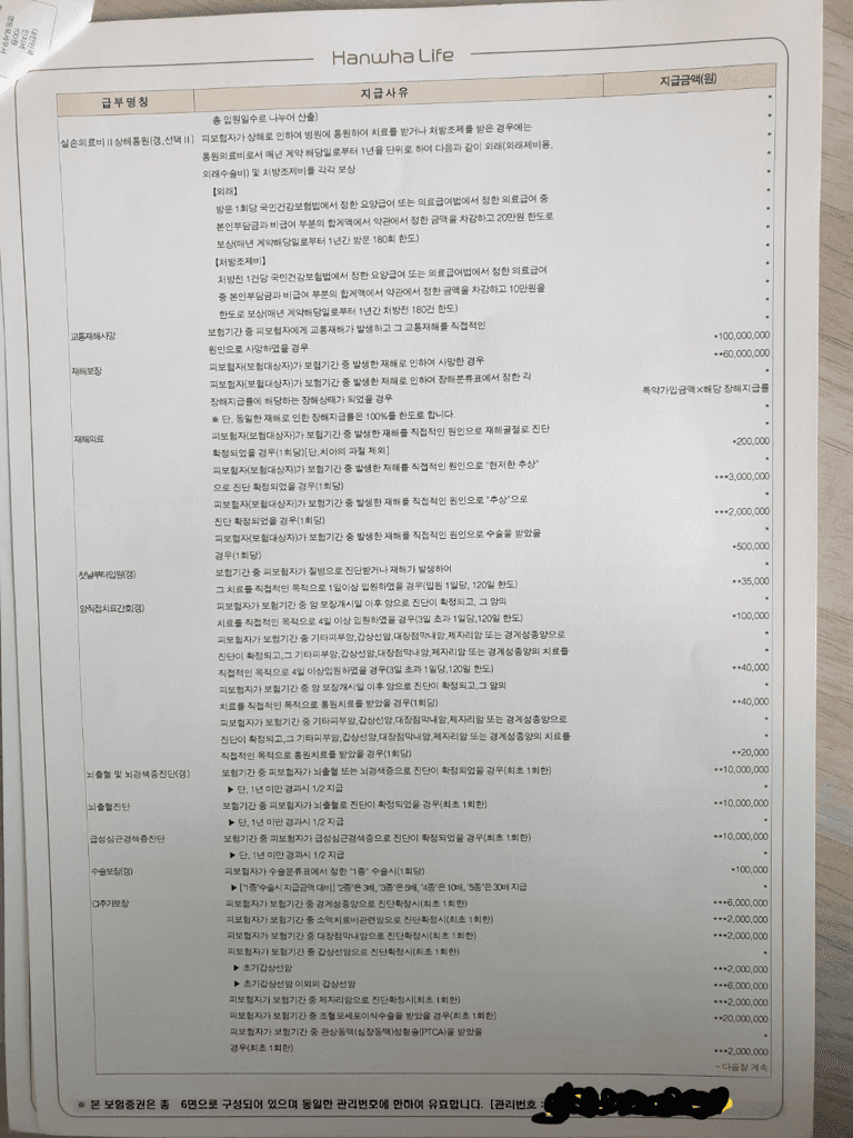 7번 째 사진