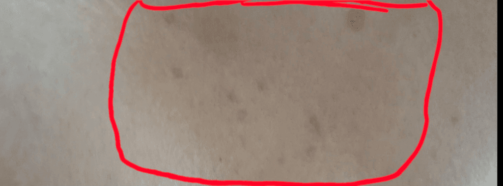 5번 째 사진