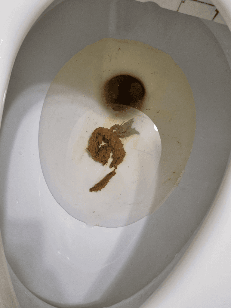 2번 째 사진