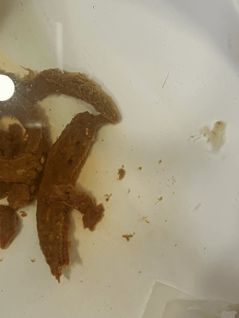 2번 째 사진