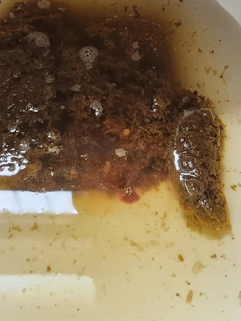 2번 째 사진