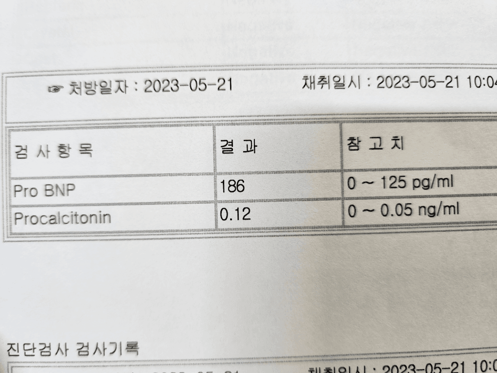 6번 째 사진