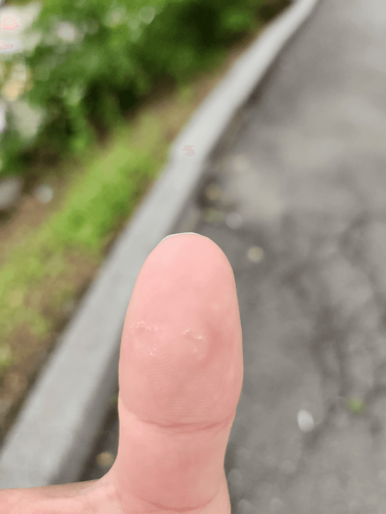 2번 째 사진