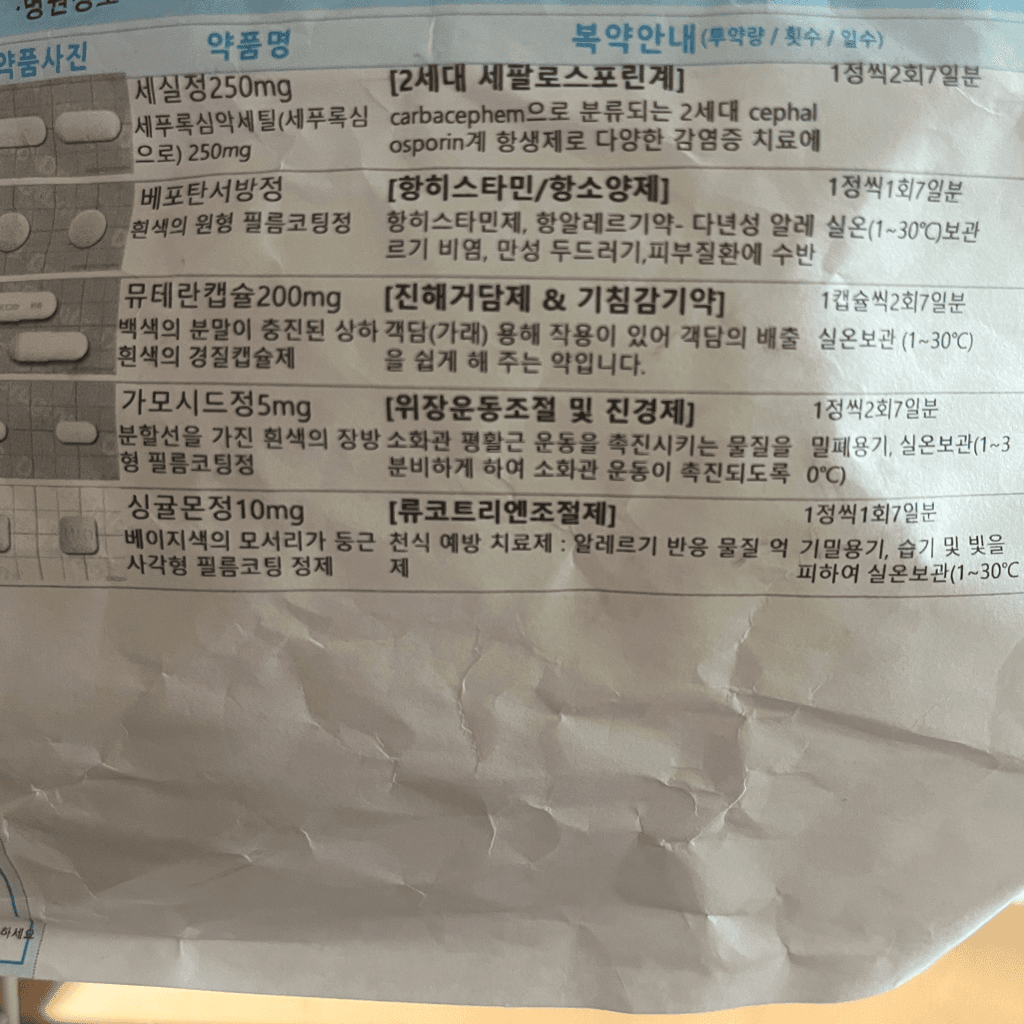 1번 째 사진