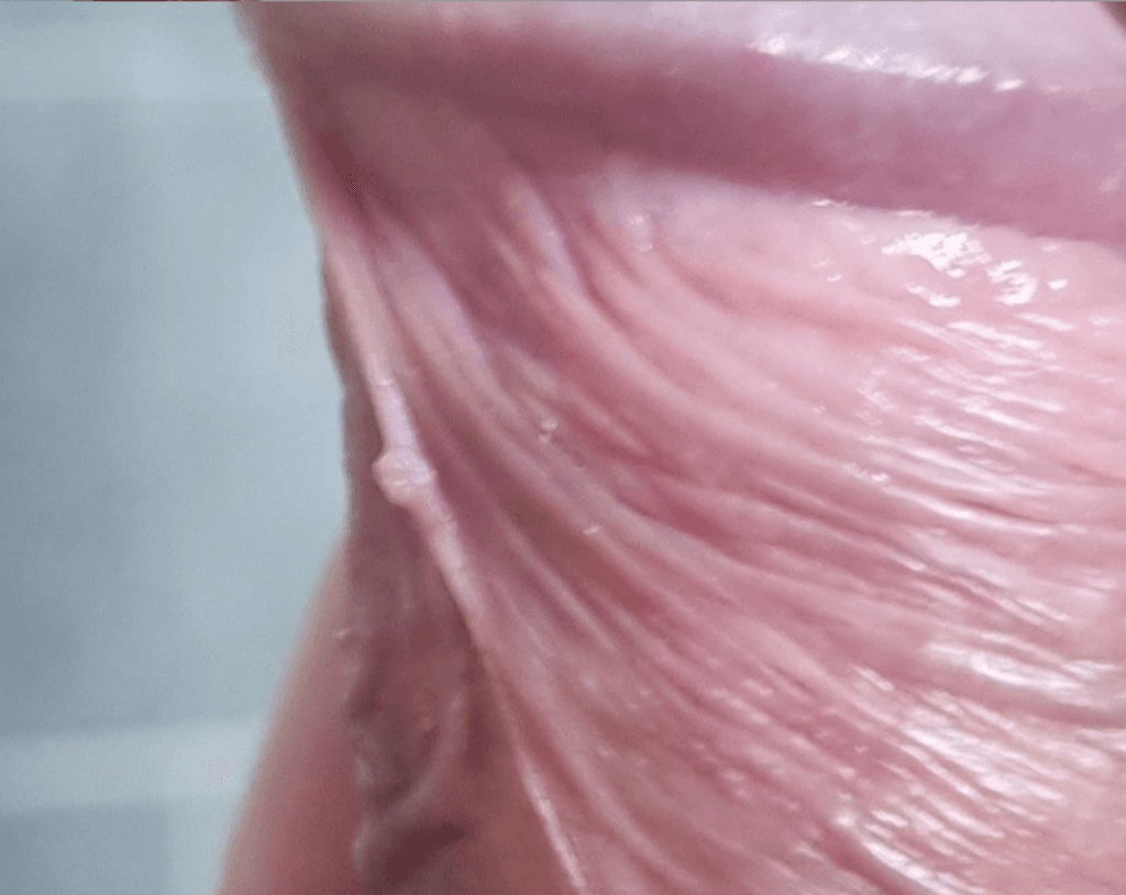 4번 째 사진