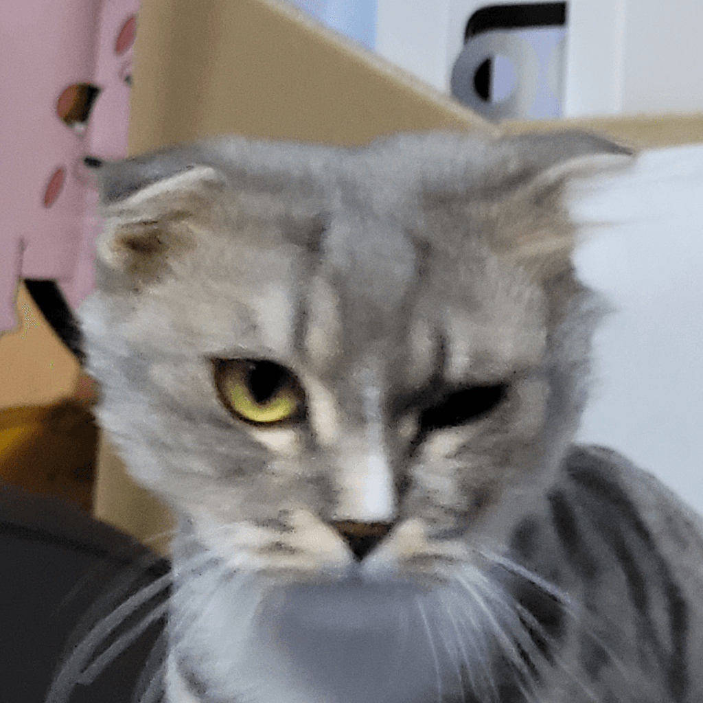 1번 째 사진