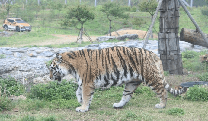3번 째 사진