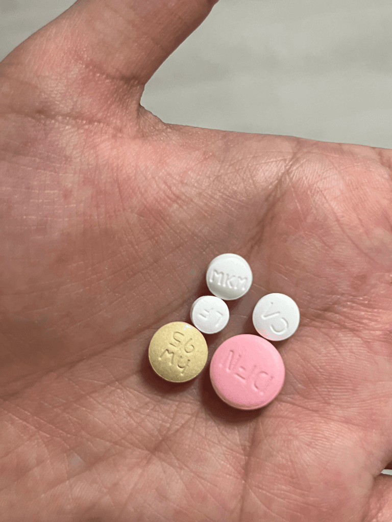 1번 째 사진