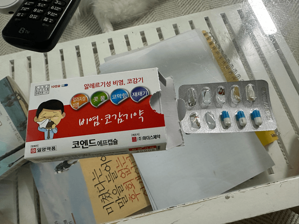 1번 째 사진