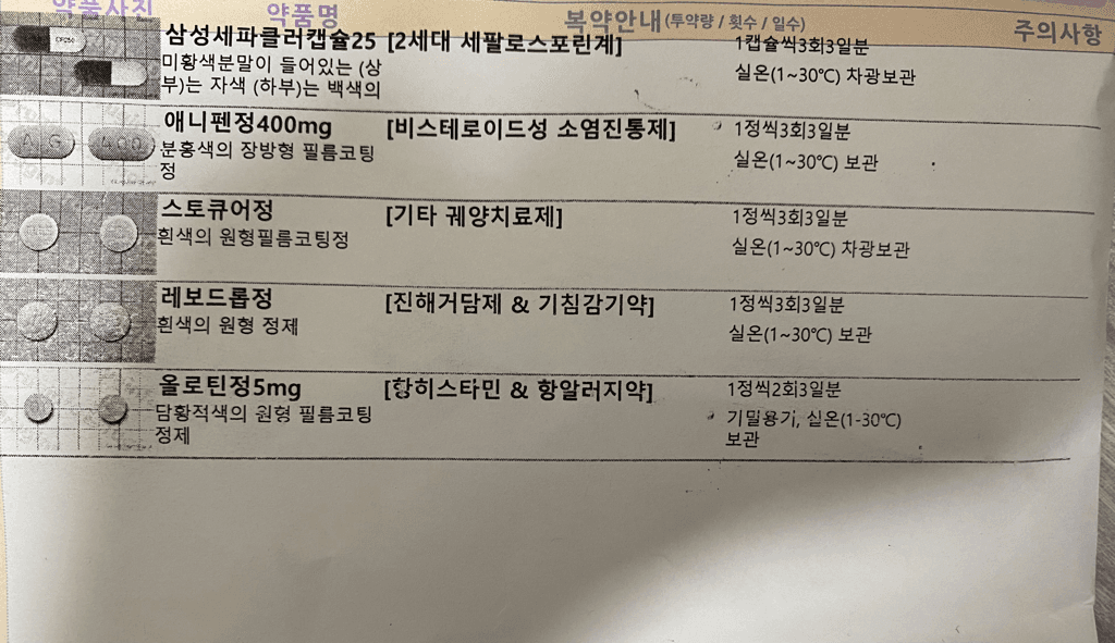 1번 째 사진