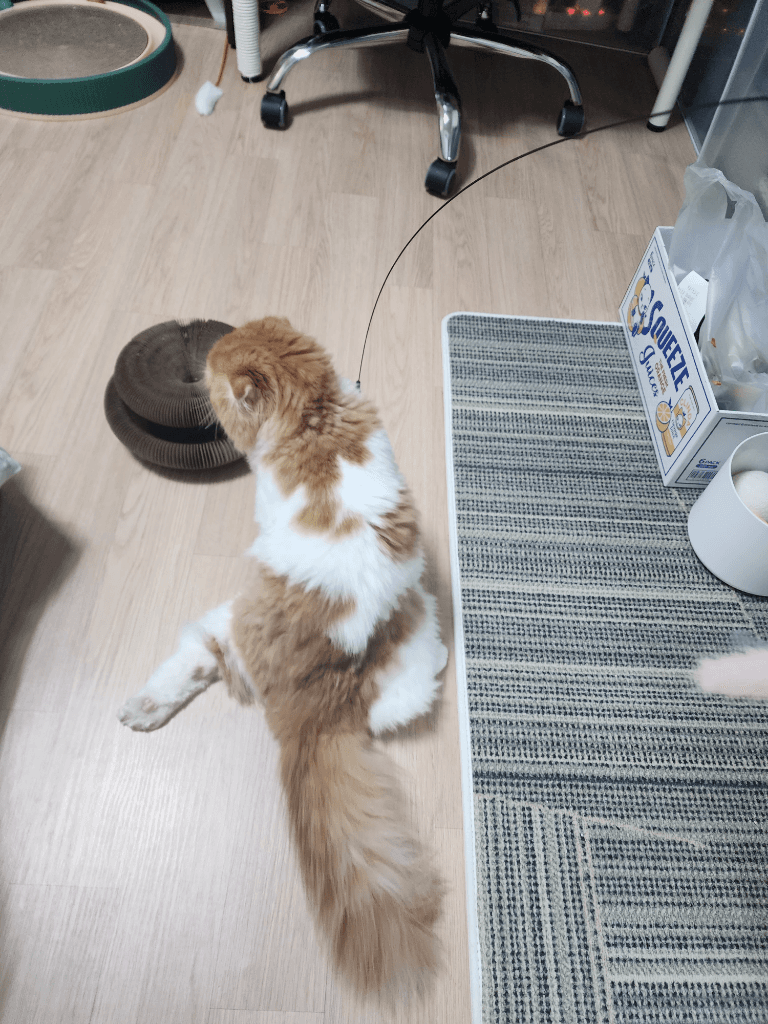 3번 째 사진