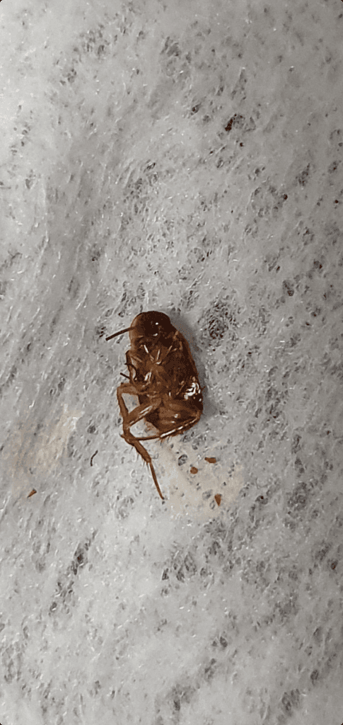 3번 째 사진