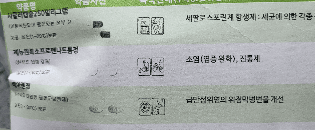 6번 째 사진