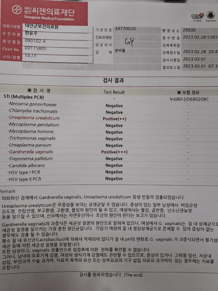 2번 째 사진