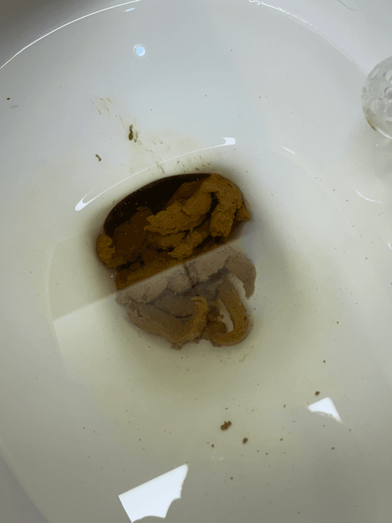 3번 째 사진