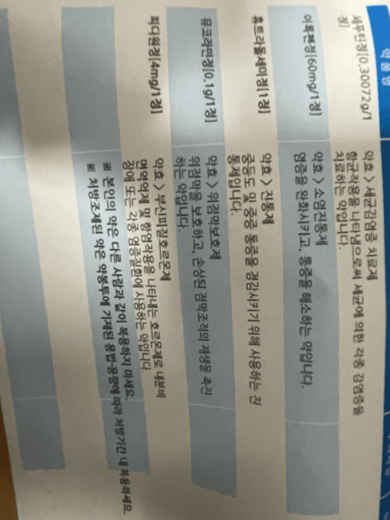 1번 째 사진
