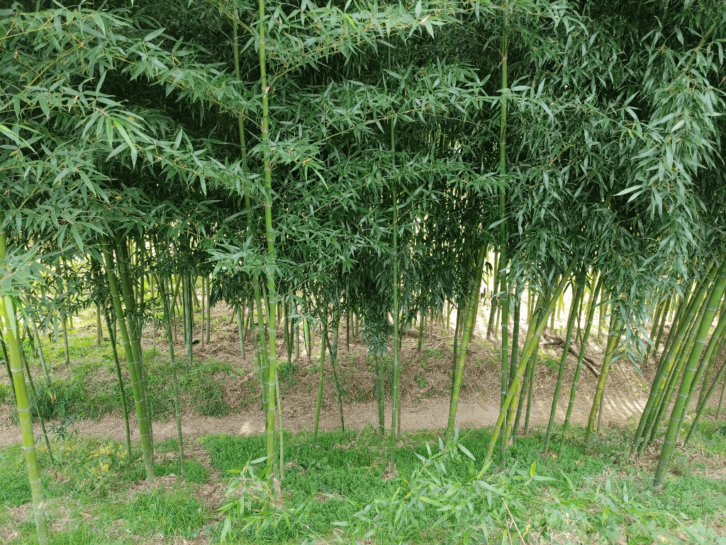 2번 째 사진