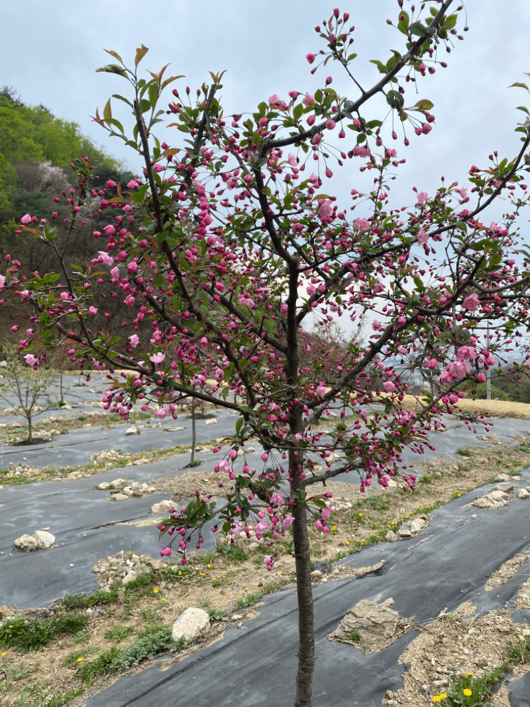 2번 째 사진