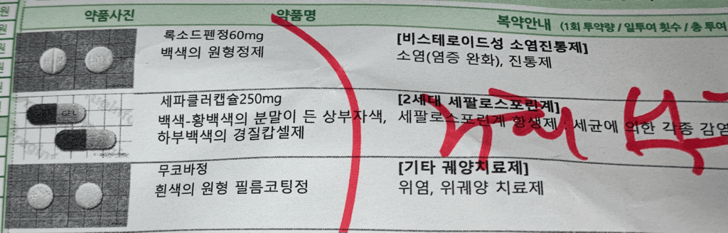 1번 째 사진