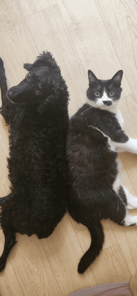 2번 째 사진