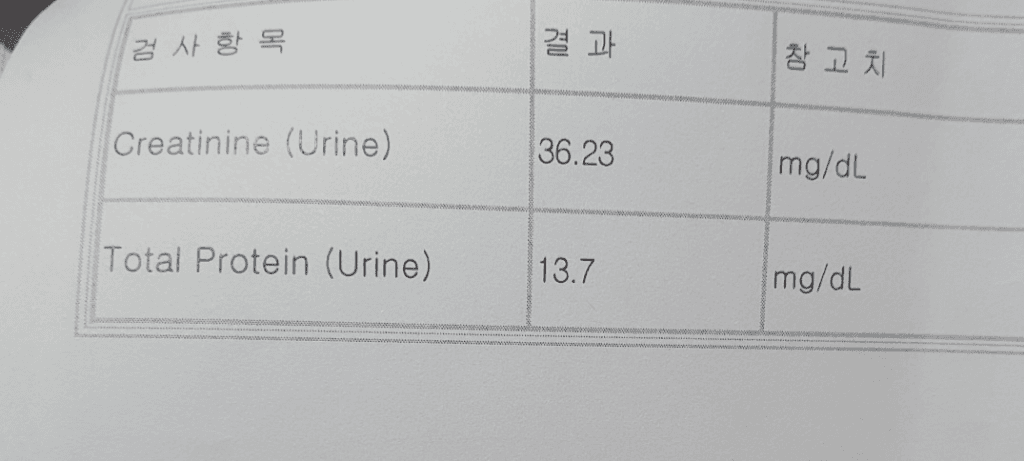 2번 째 사진