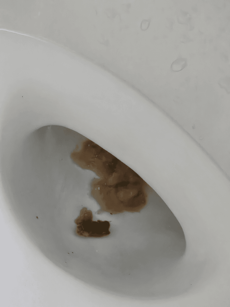 2번 째 사진