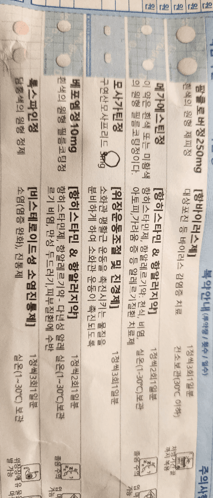 2번 째 사진