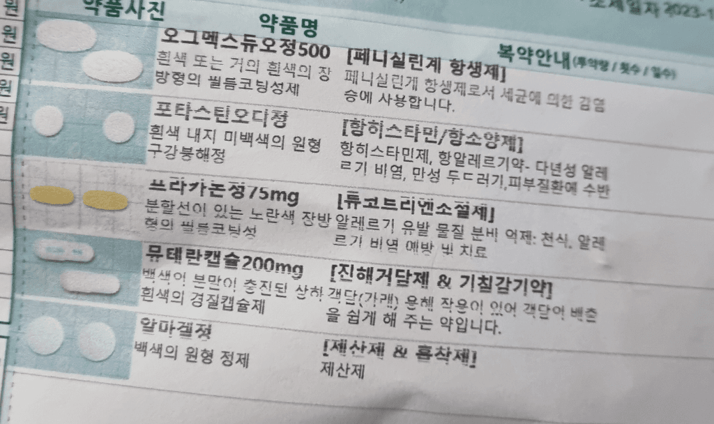 1번 째 사진