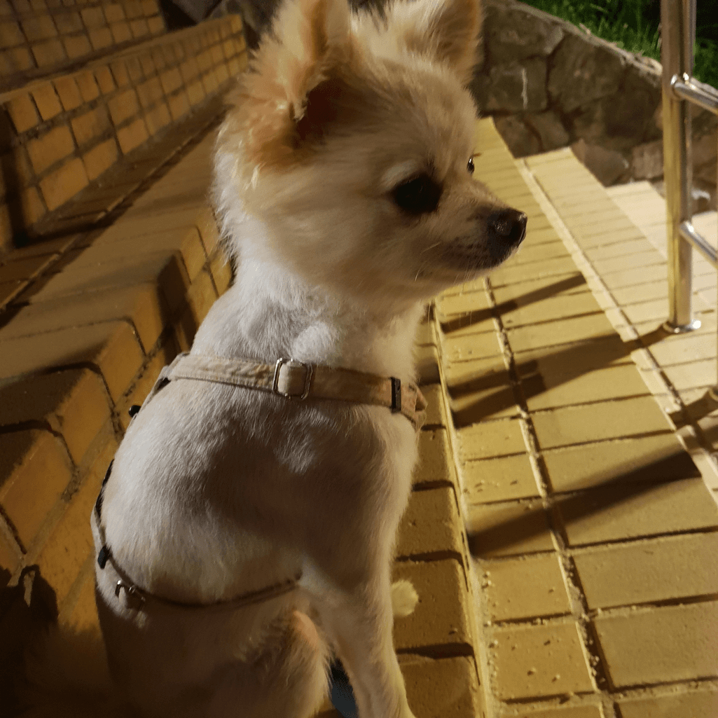 1번 째 사진