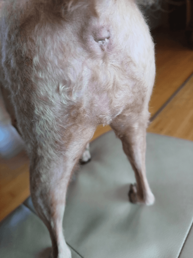 2번 째 사진