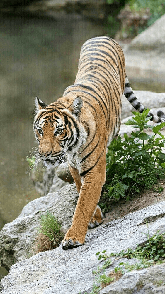 2번 째 사진