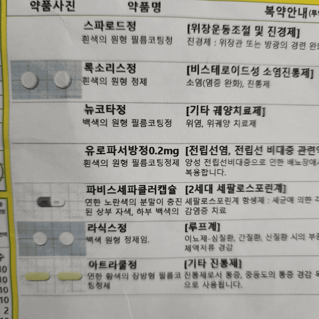 1번 째 사진