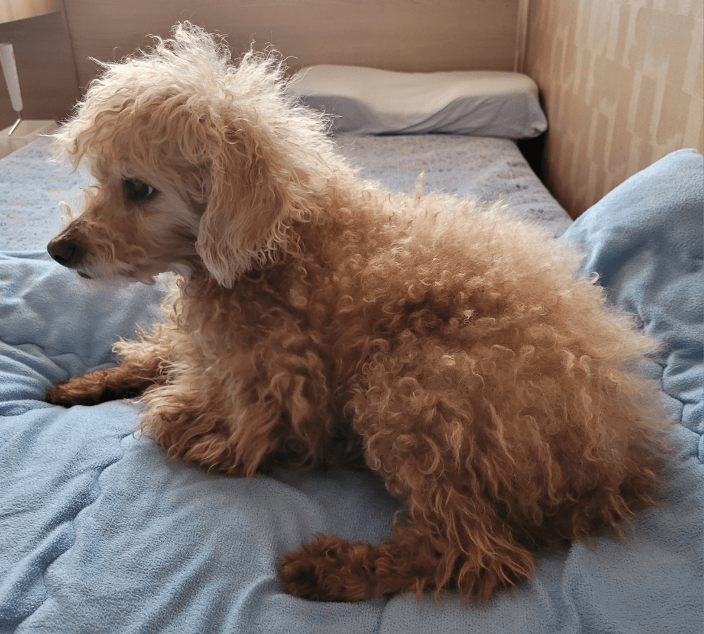 5번 째 사진