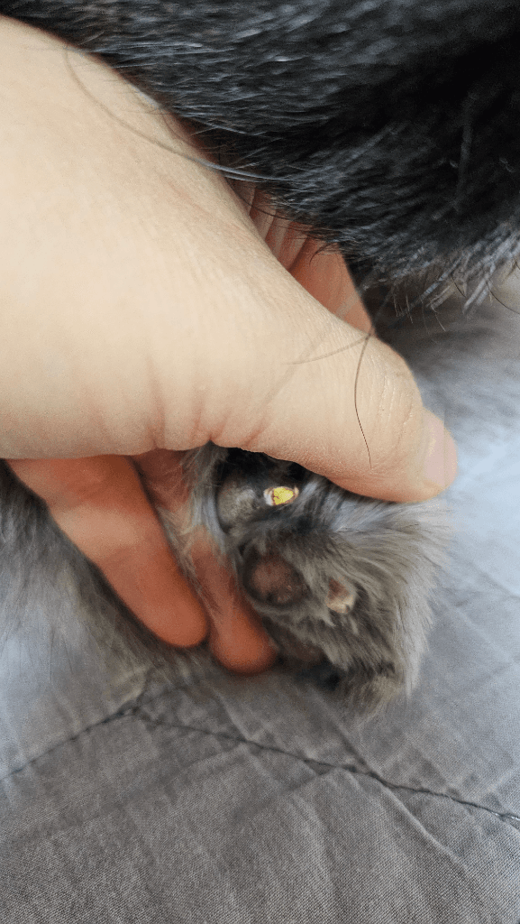 1번 째 사진