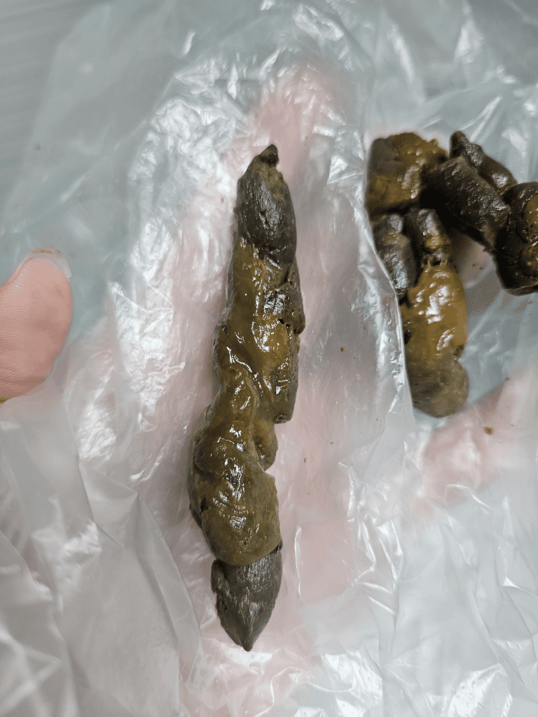 6번 째 사진