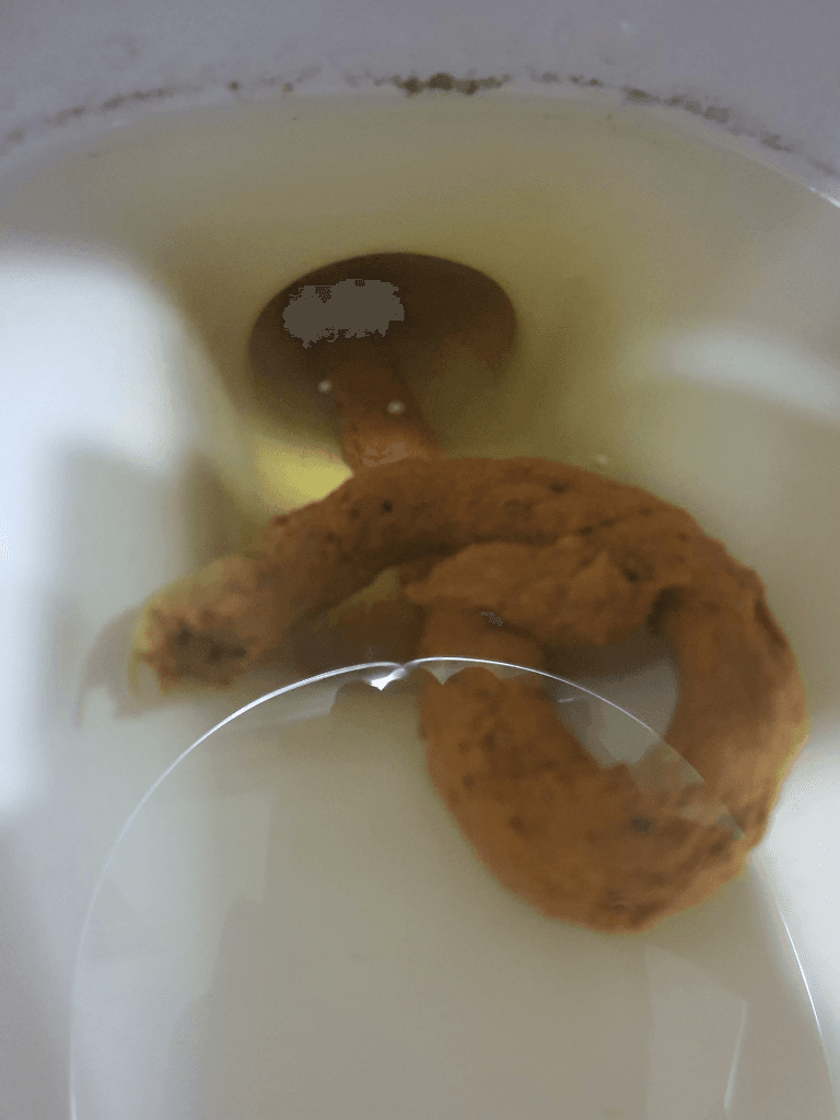 2번 째 사진