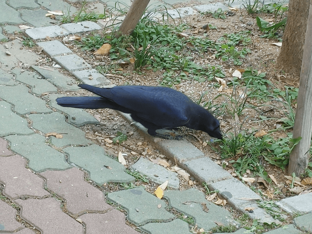 4번 째 사진