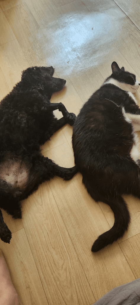3번 째 사진