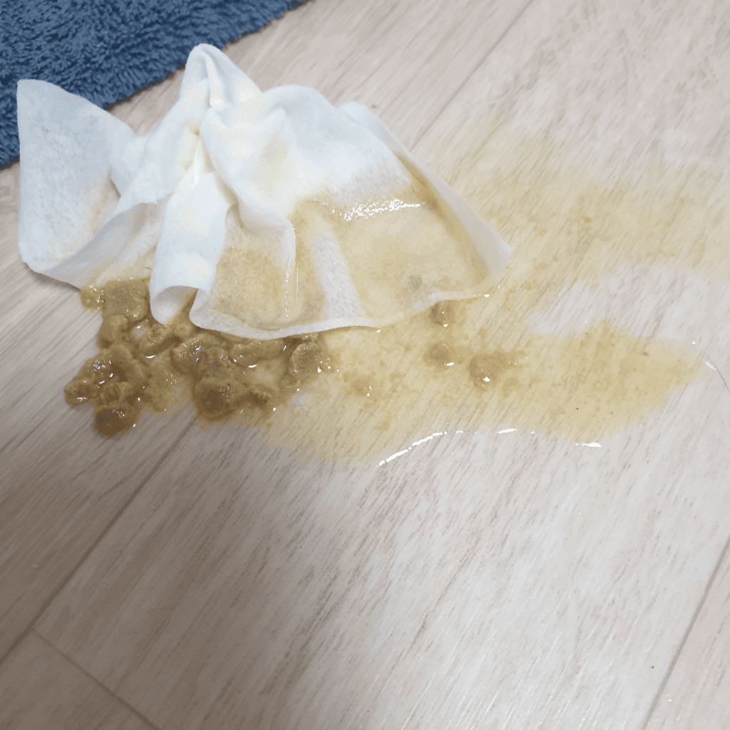 3번 째 사진