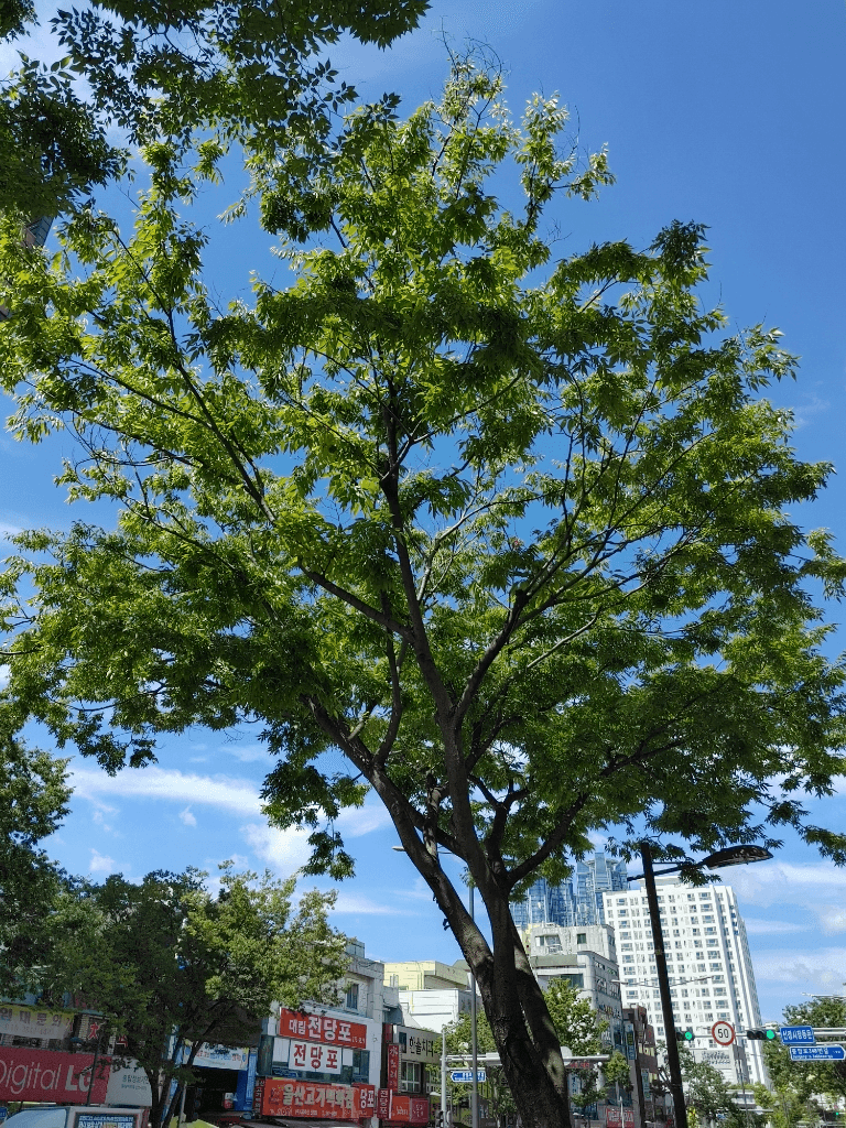 1번 째 사진