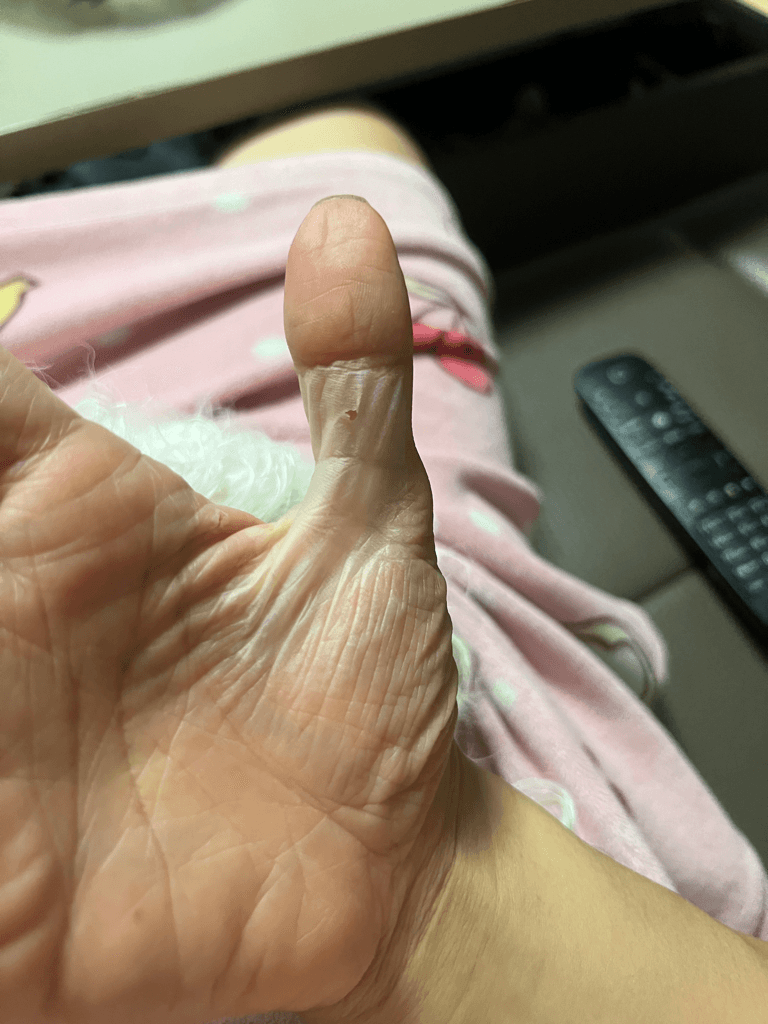 3번 째 사진
