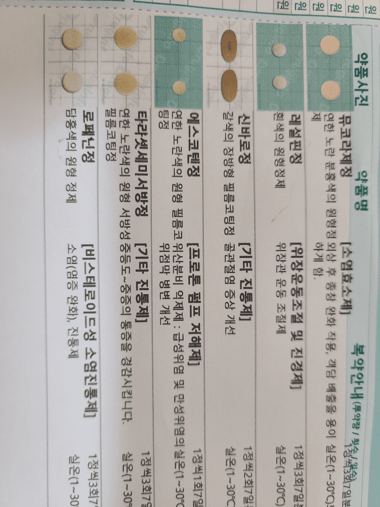 1번 째 사진