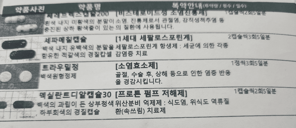 1번 째 사진