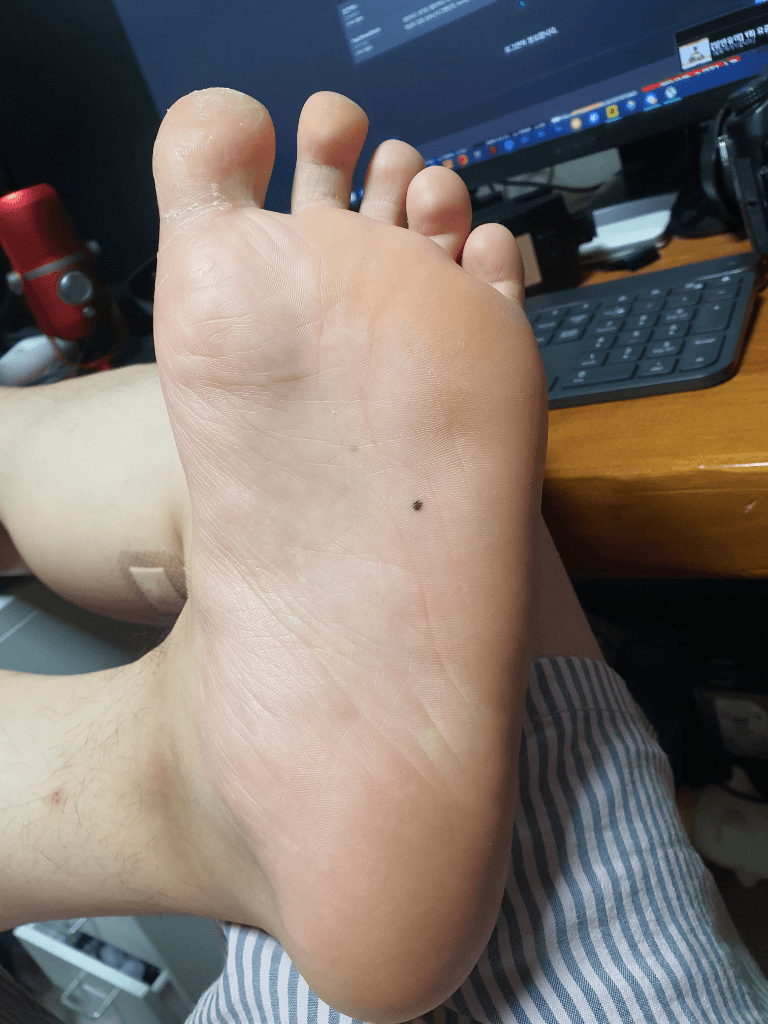 1번 째 사진